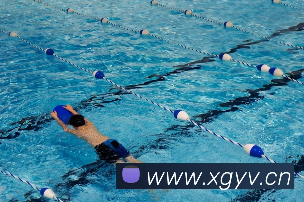 乐竞官网app登录入口平台生态图