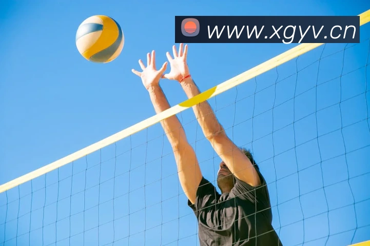 乐竞官网app登录入口APP 封面图